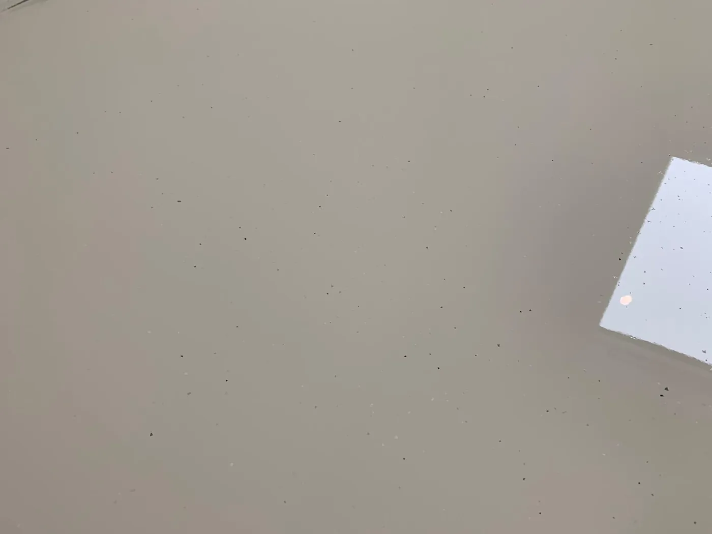 Taupe gietvloer met fijne donkere flakes