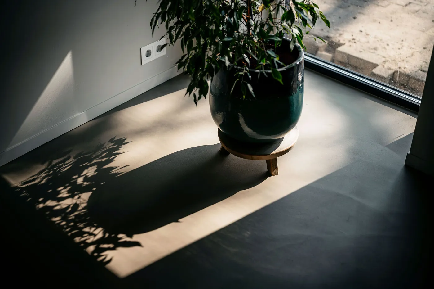 Taupe gietvloer bij een tuindeur met plant