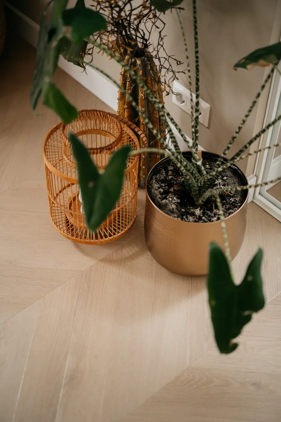 Planten in koperen potten op pvc houtlook vloer